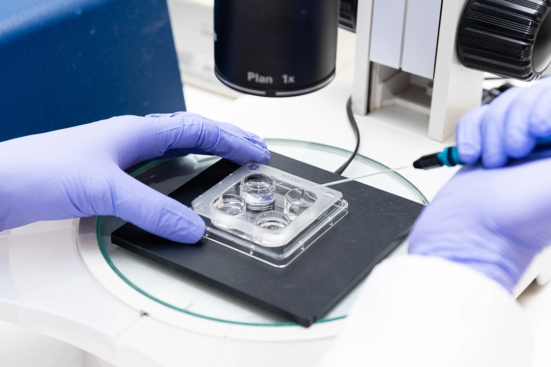 Laboratorio BioRepro