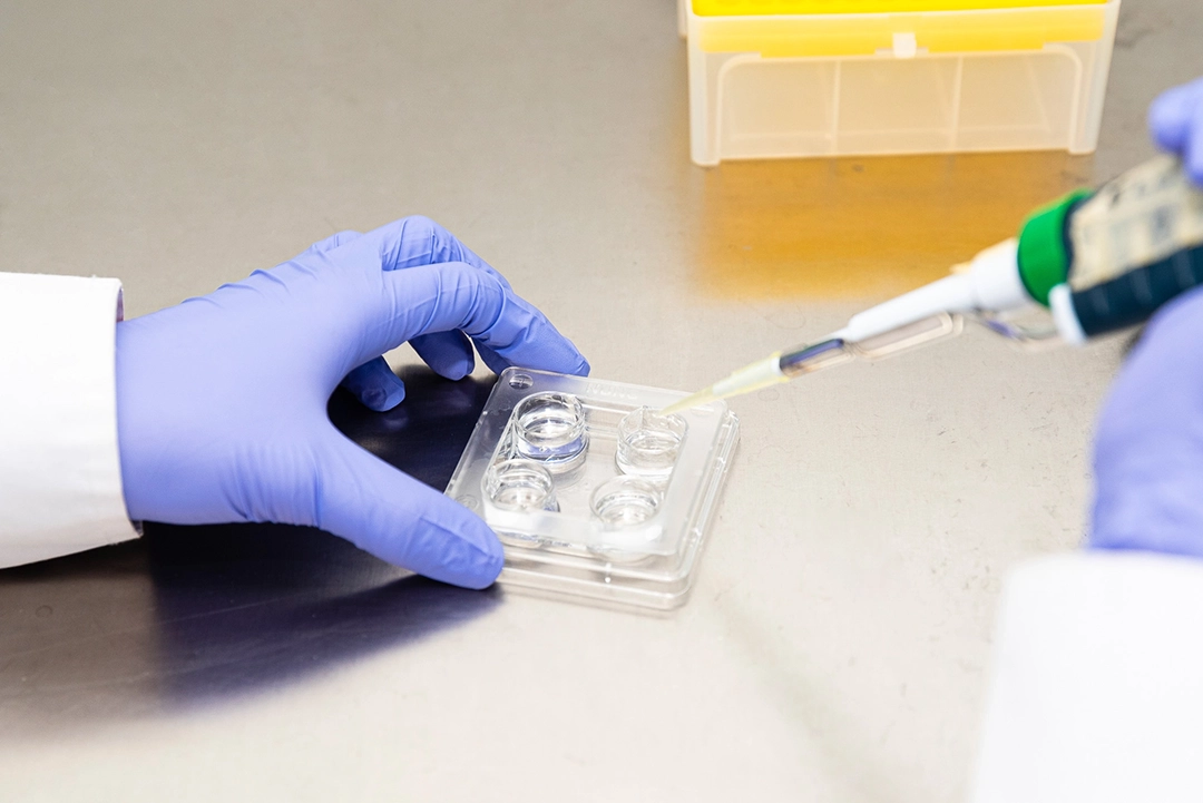 Laboratorio BioRepro