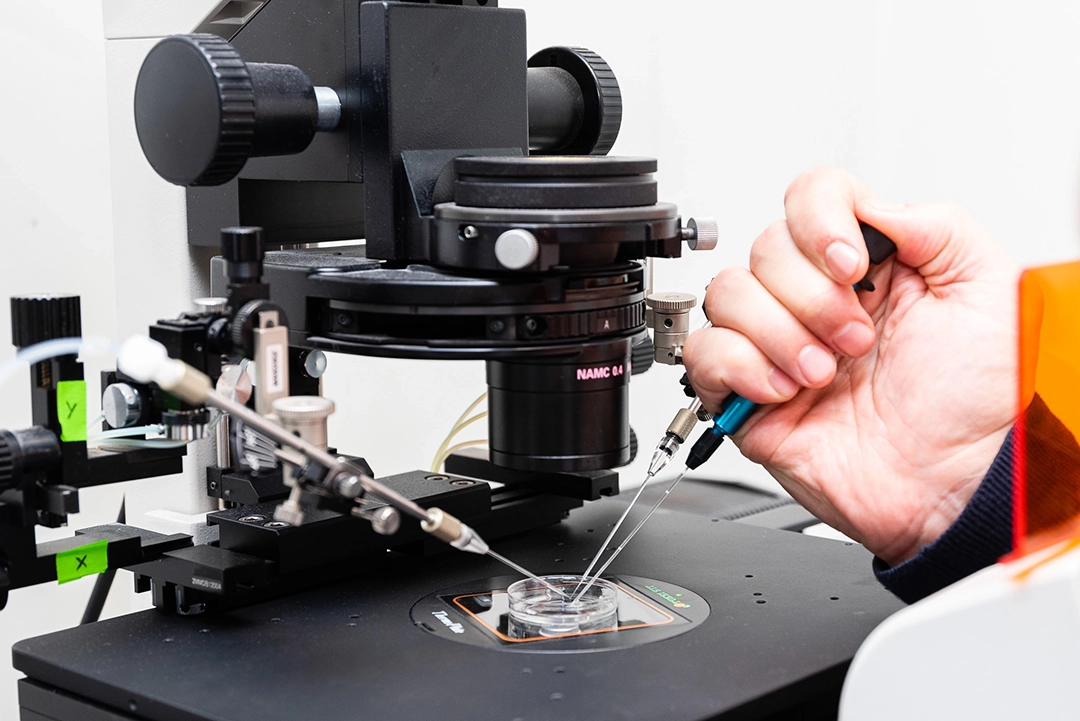 Laboratorio BioRepro