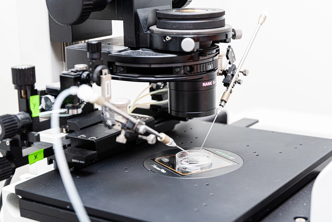Laboratorio BioRepro